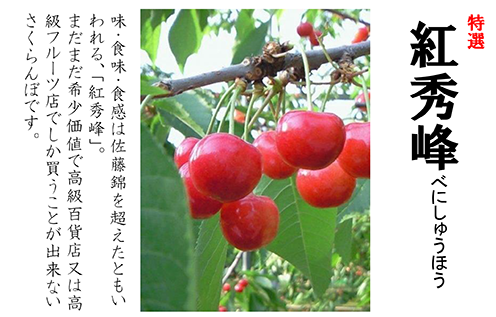 紅秀峰1Kg